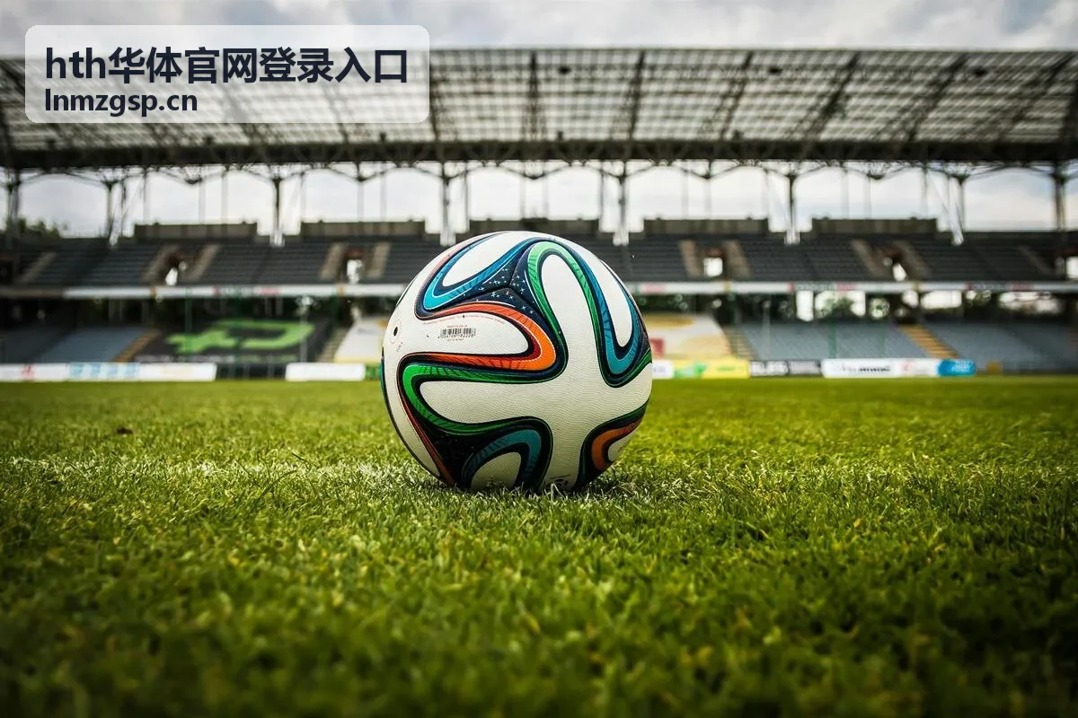 hth华体官网登录入口登录提醒设置说明