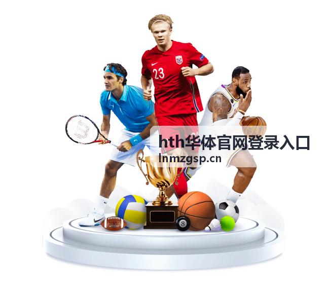 hth华体官网登录入口登录自查步骤示意